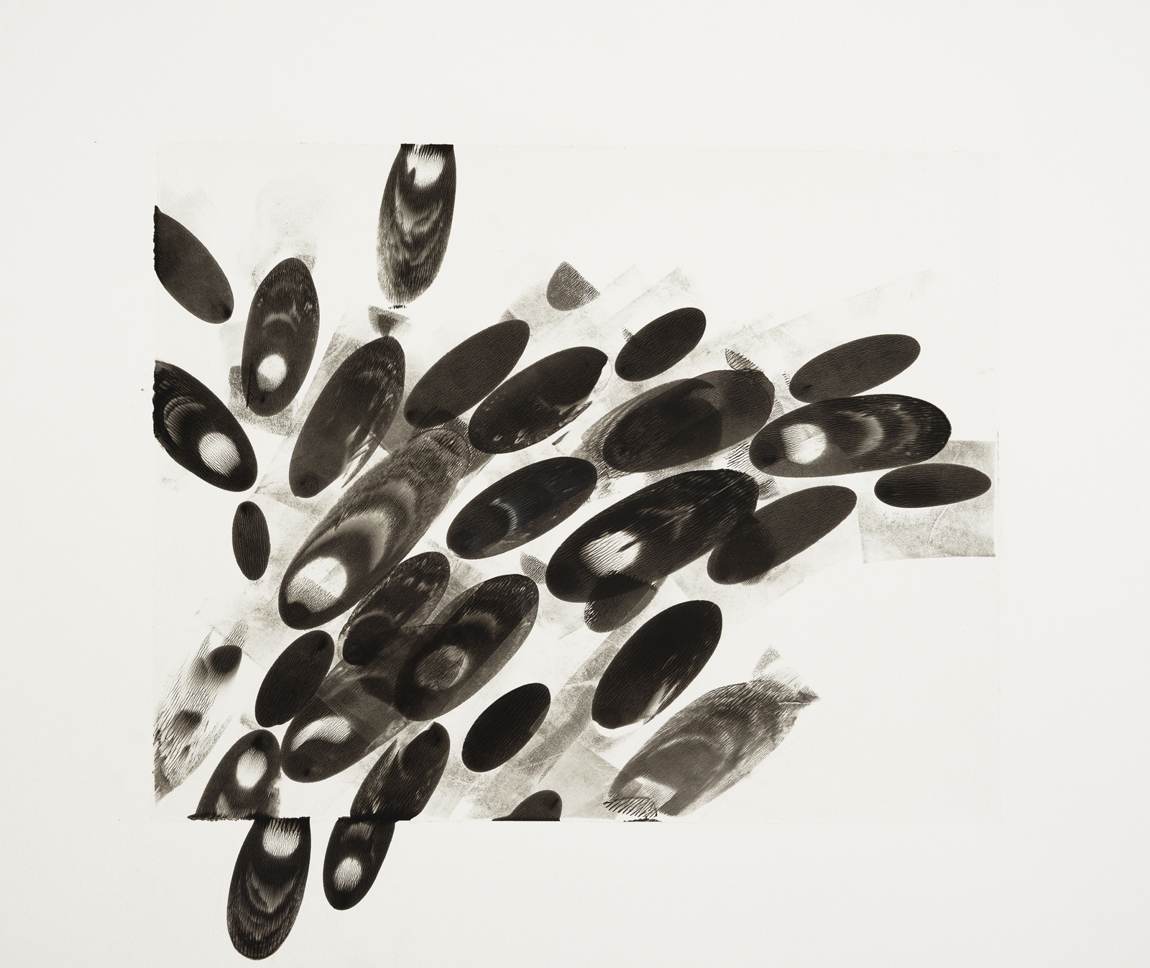 Black Ellipses / 4, 2014
