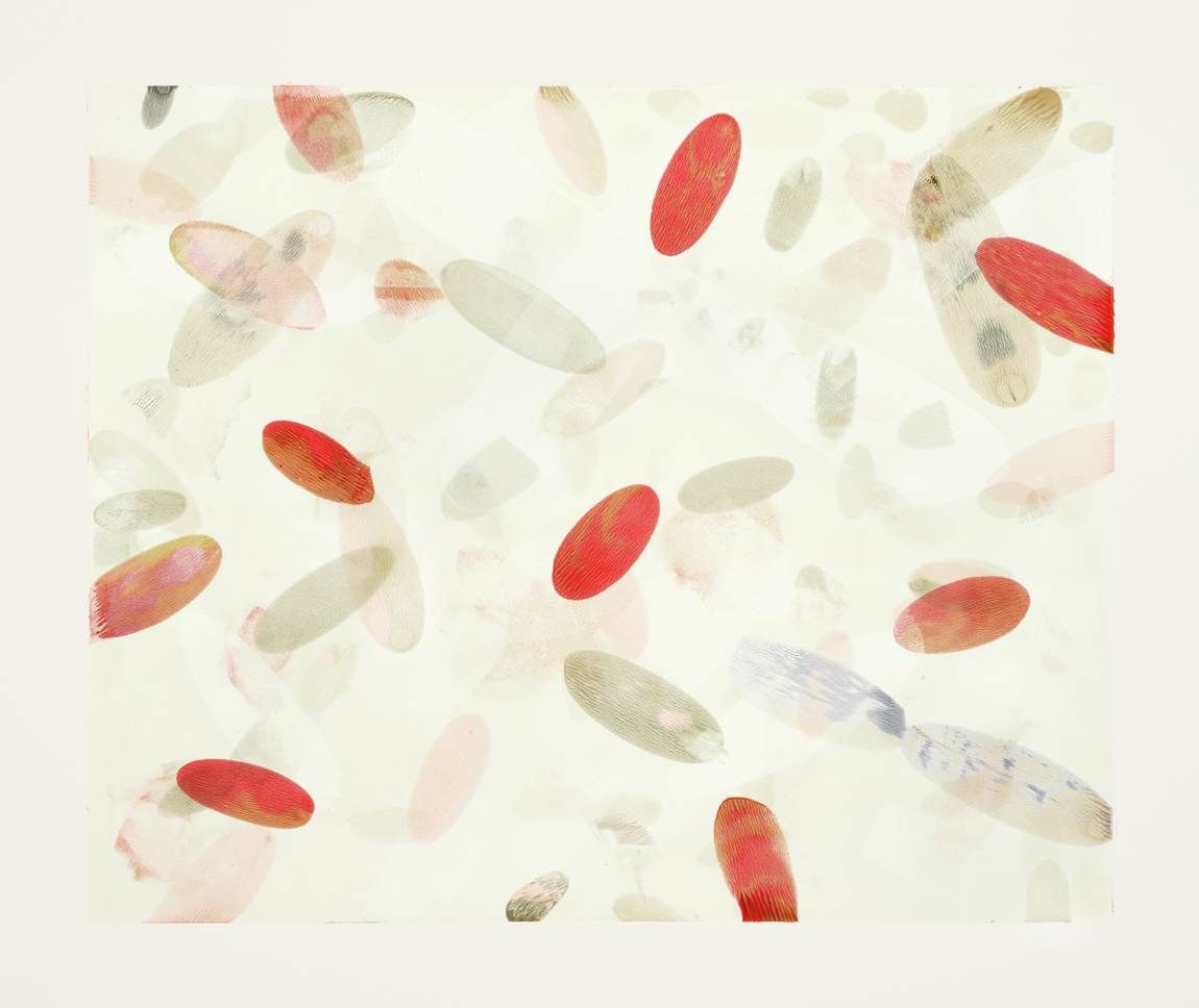Ellipses / 5, 2014