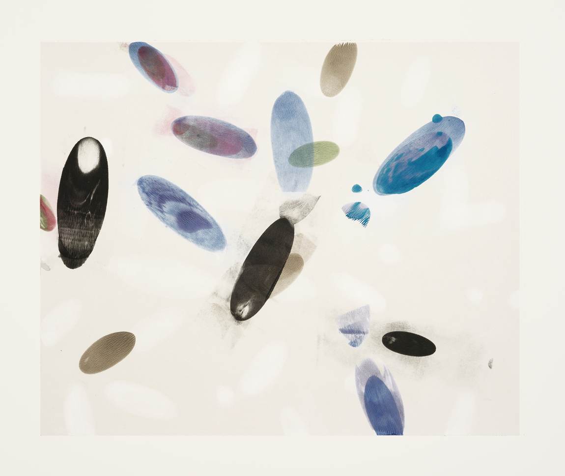 Black Ellipses / 7, 2014