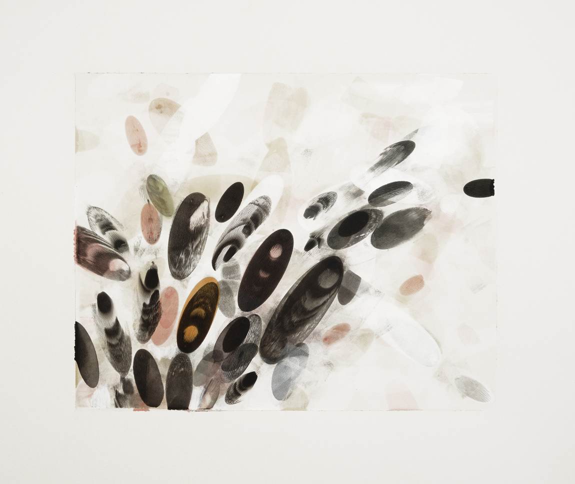 Black Ellipses / 2, 2014