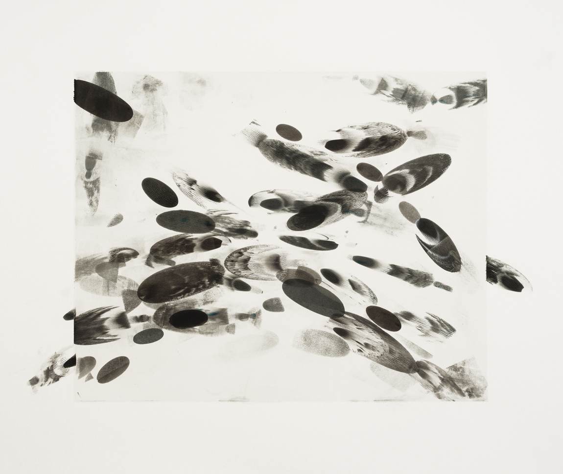 Black Ellipses / 5, 2014