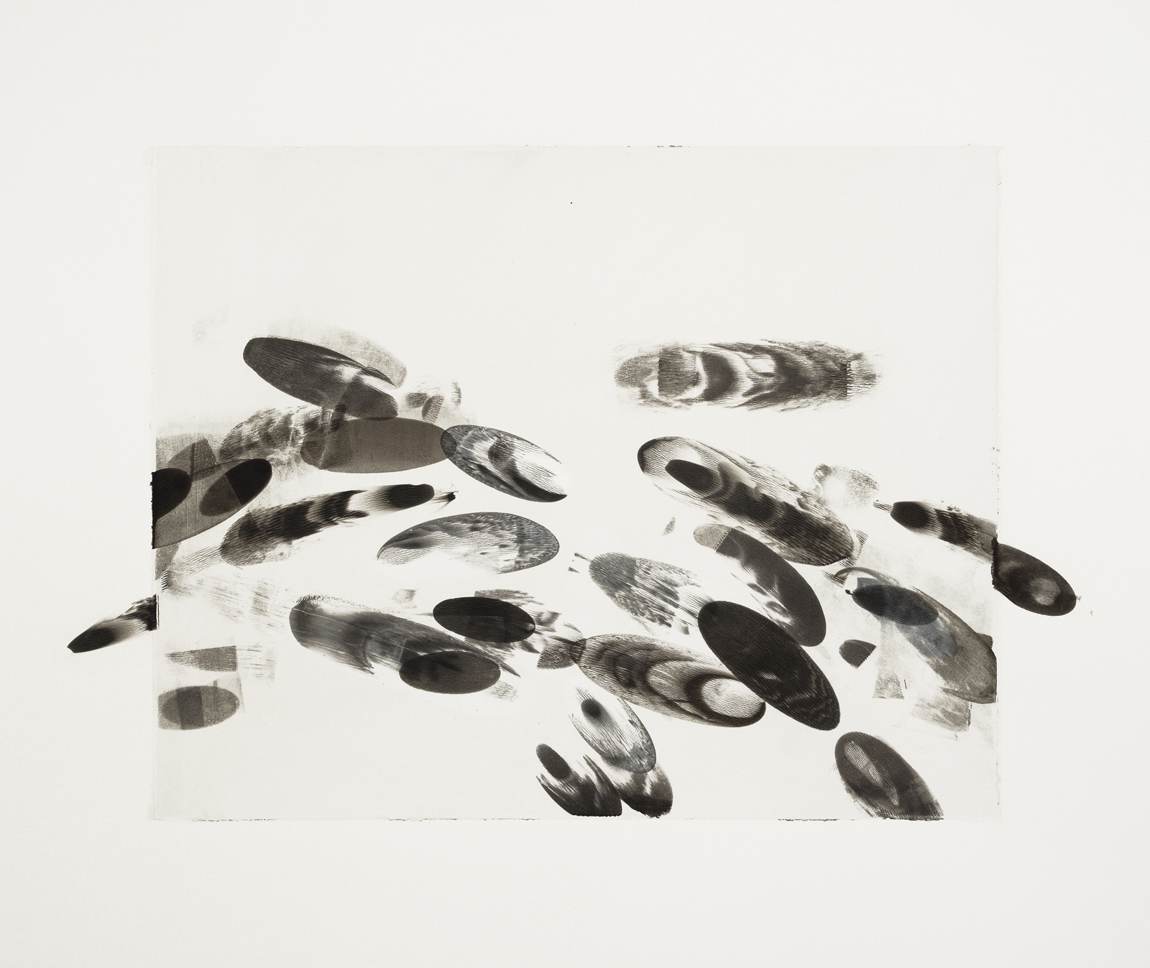 Black Ellipses / 6, 2014