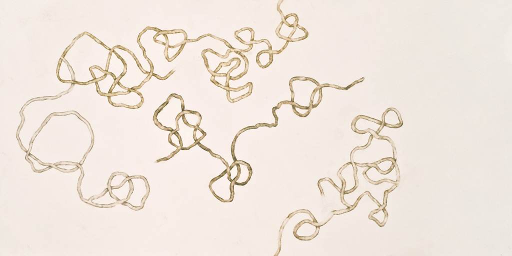 Movement / 8, 2009