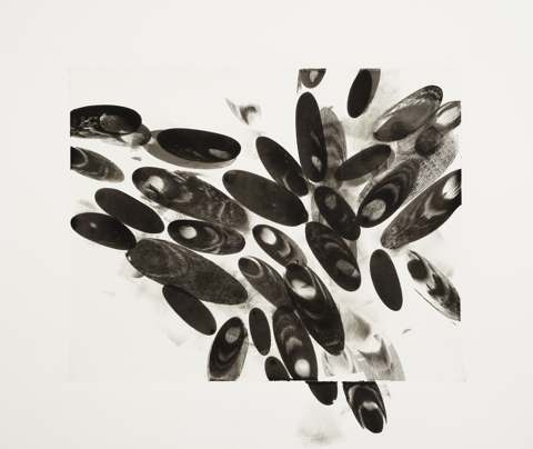 Black Ellipses / 3, 2014