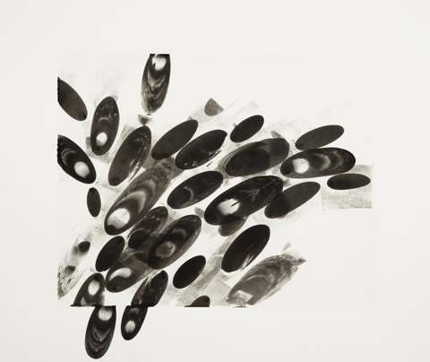 Black Ellipses / 4, 2014