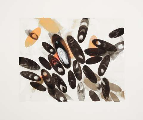 Black Ellipses / 1, 2014