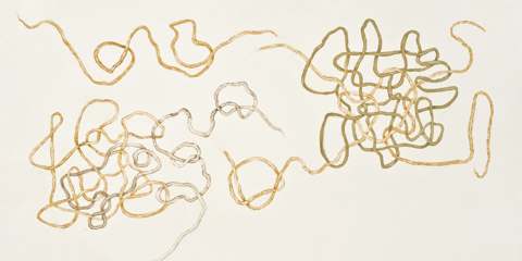 Movement / 9, 2009