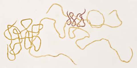 Movement / 6, 2009