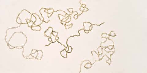 Movement / 8, 2009